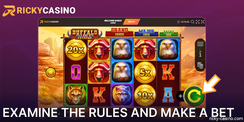 Examine the game rules and make a bet on Ricky Casino website