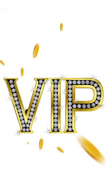 VIP Bonus